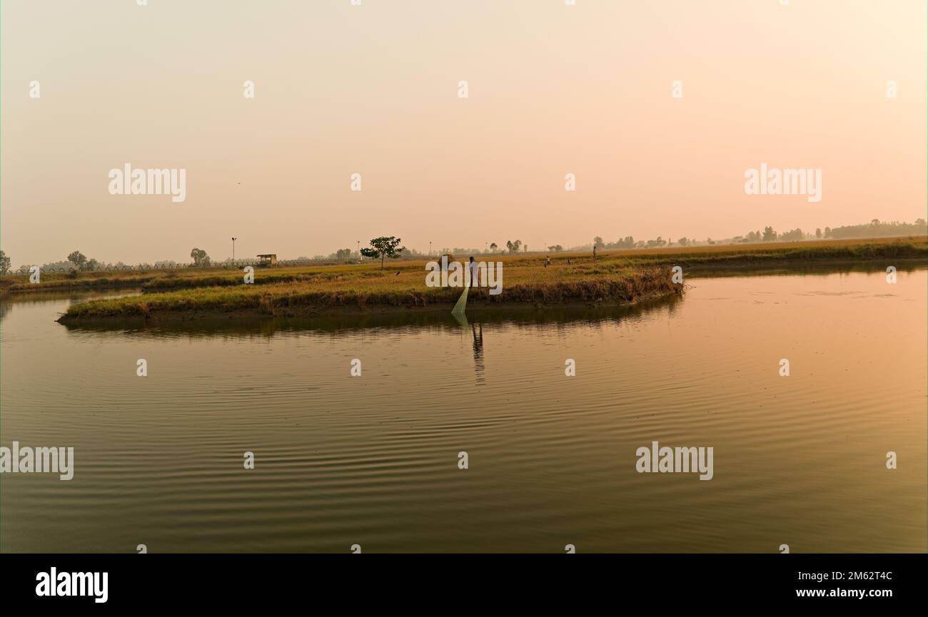 13.11.2022. west bengal. india. A lonely Indian fisherman fishing with net in natural pond . Stock Photo