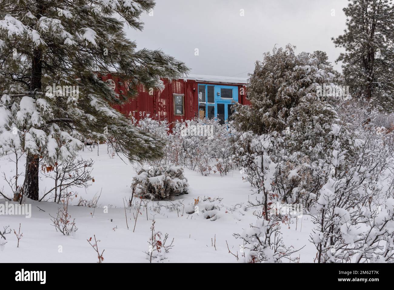 A bright, dark-red train boxcar converted into a living space with large windows and doors framed in turquoise in a snowy, wooded area in New Mexico. Stock Photo