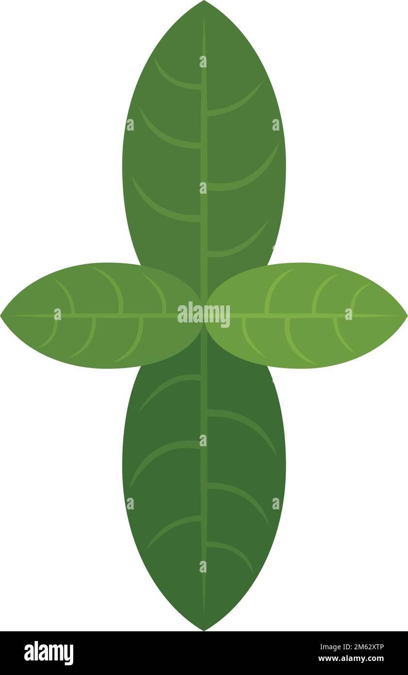 Basil plant icon flat vector. Leaf herb. Cooking food isolated Stock ...