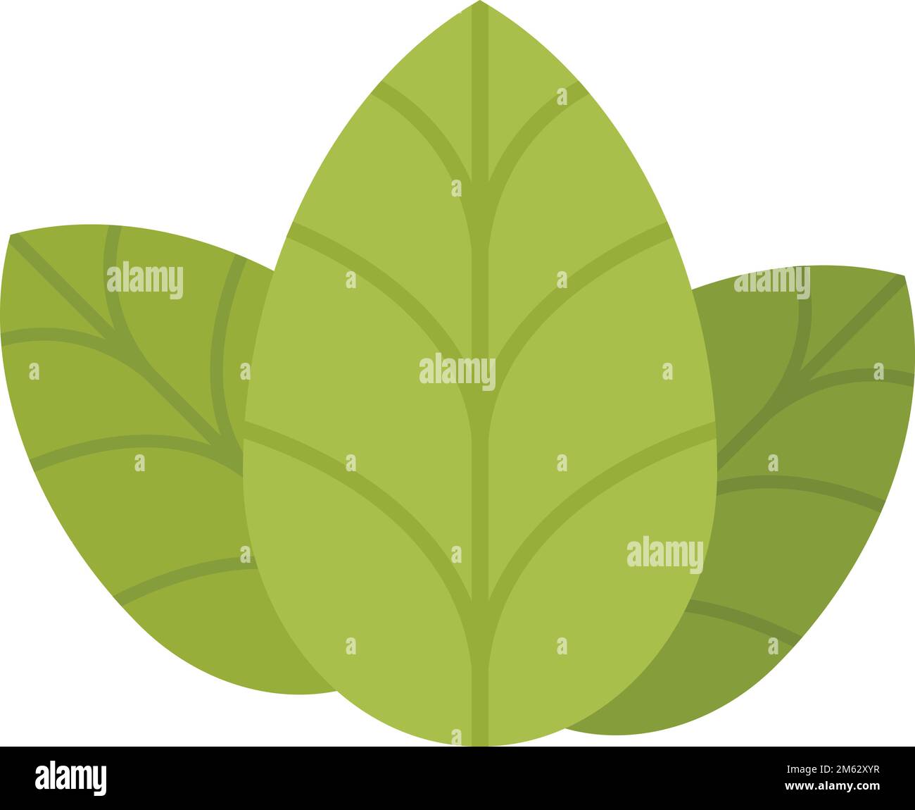 Italian basil icon flat vector. Herb leaf. Spice plant isolated Stock ...