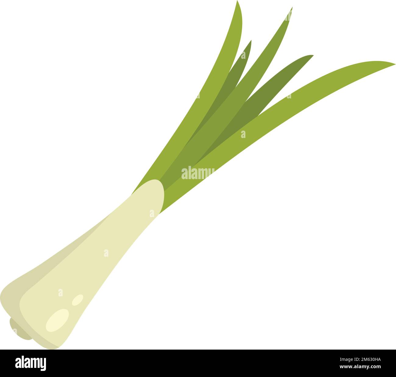 Scallion chive icon flat vector. Herb onion. Chinese garlic isolated Stock Vector