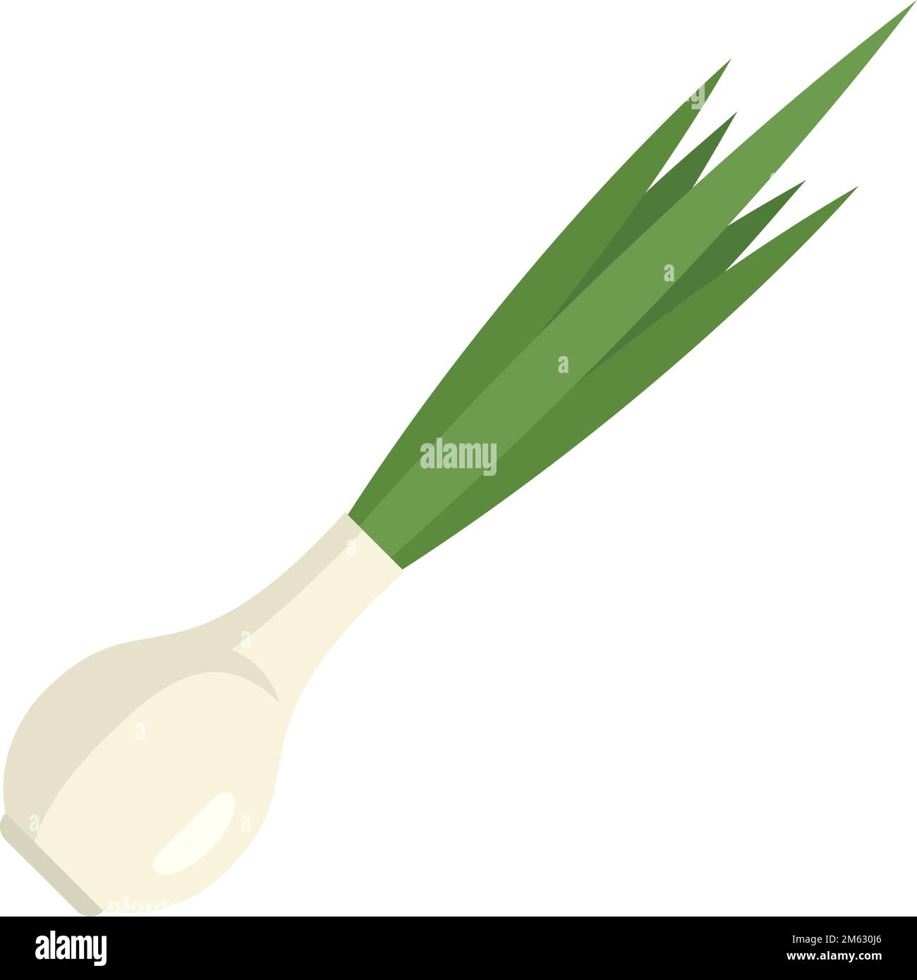 Fresh chive icon flat vector. Onion herb. Leek chinese isolated Stock Vector