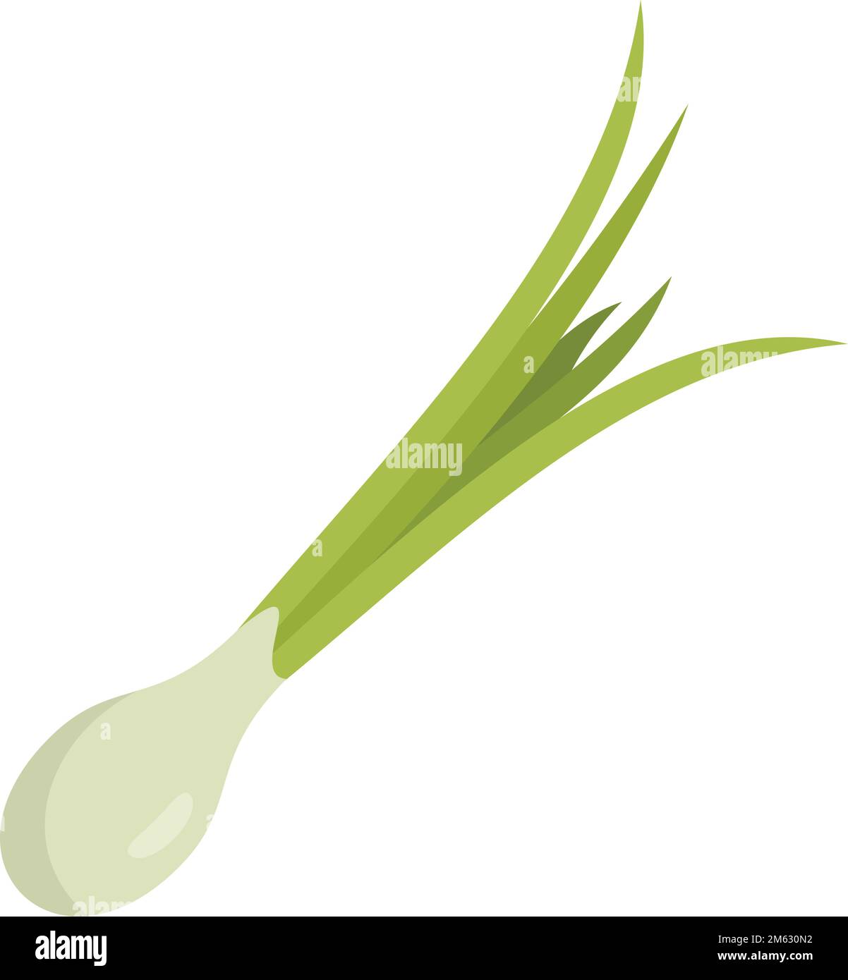 Chive basil icon flat vector. Fresh onion. Herb leek isolated Stock Vector