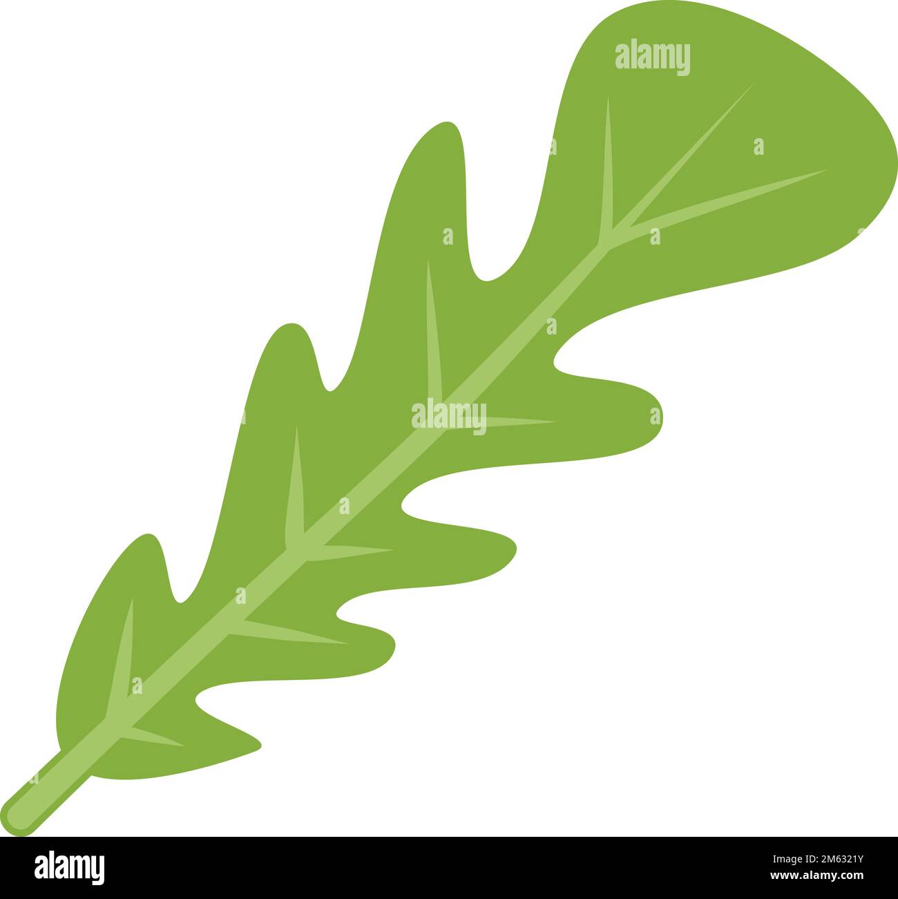 Drawing leafy romaine lettuce hi-res stock photography and images - Alamy