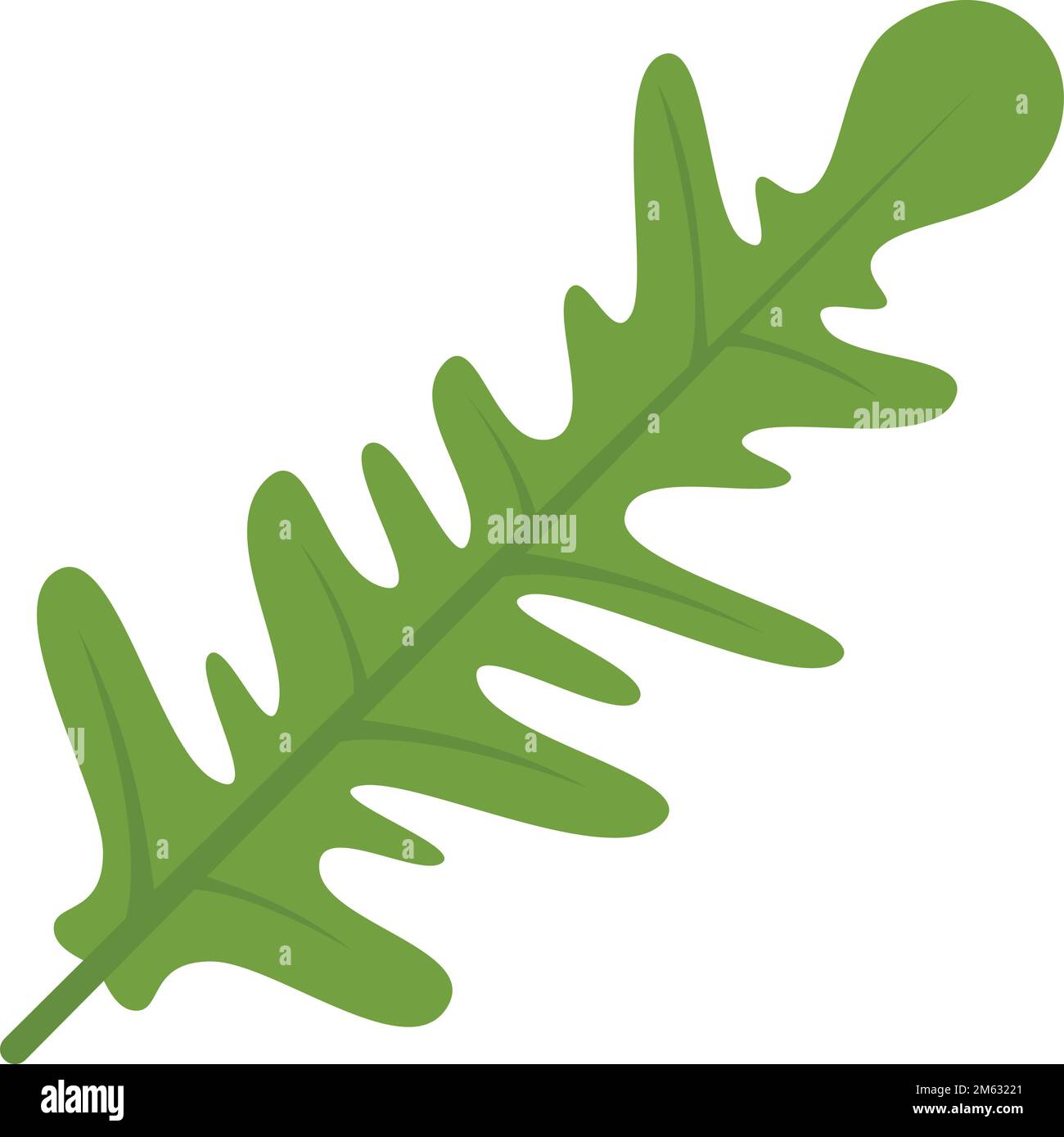 Mizuna rocket lettuce hi-res stock photography and images - Alamy