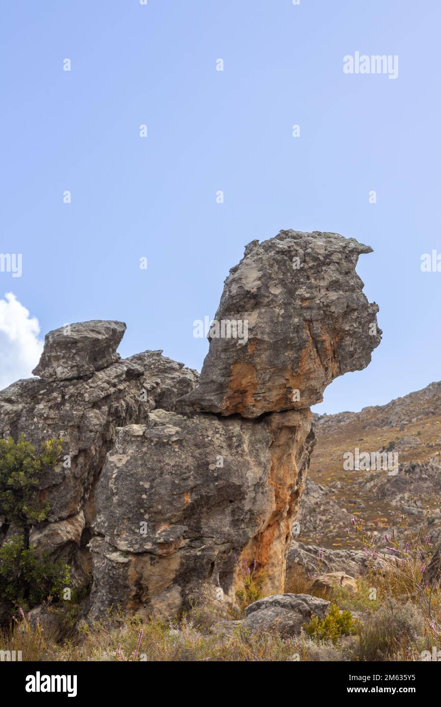 South African Rocks Rock formation looking like Donald Trump in the Western Cape of South ...