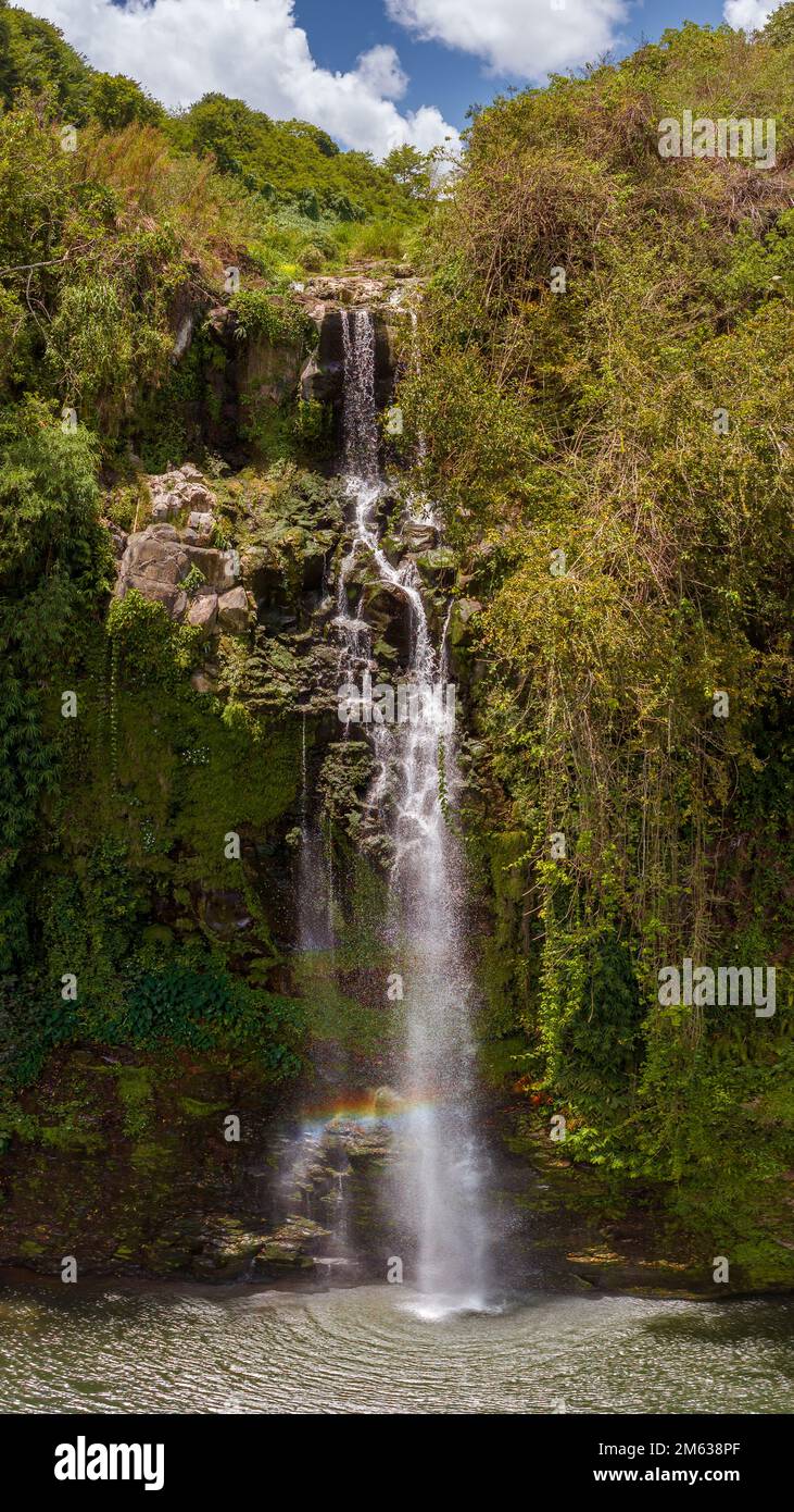 Cascade de Balfour. The waterfall at Ebene Balfour Gardens. This is a part of the capital city Port Louis In Mauritius island. Stock Photo