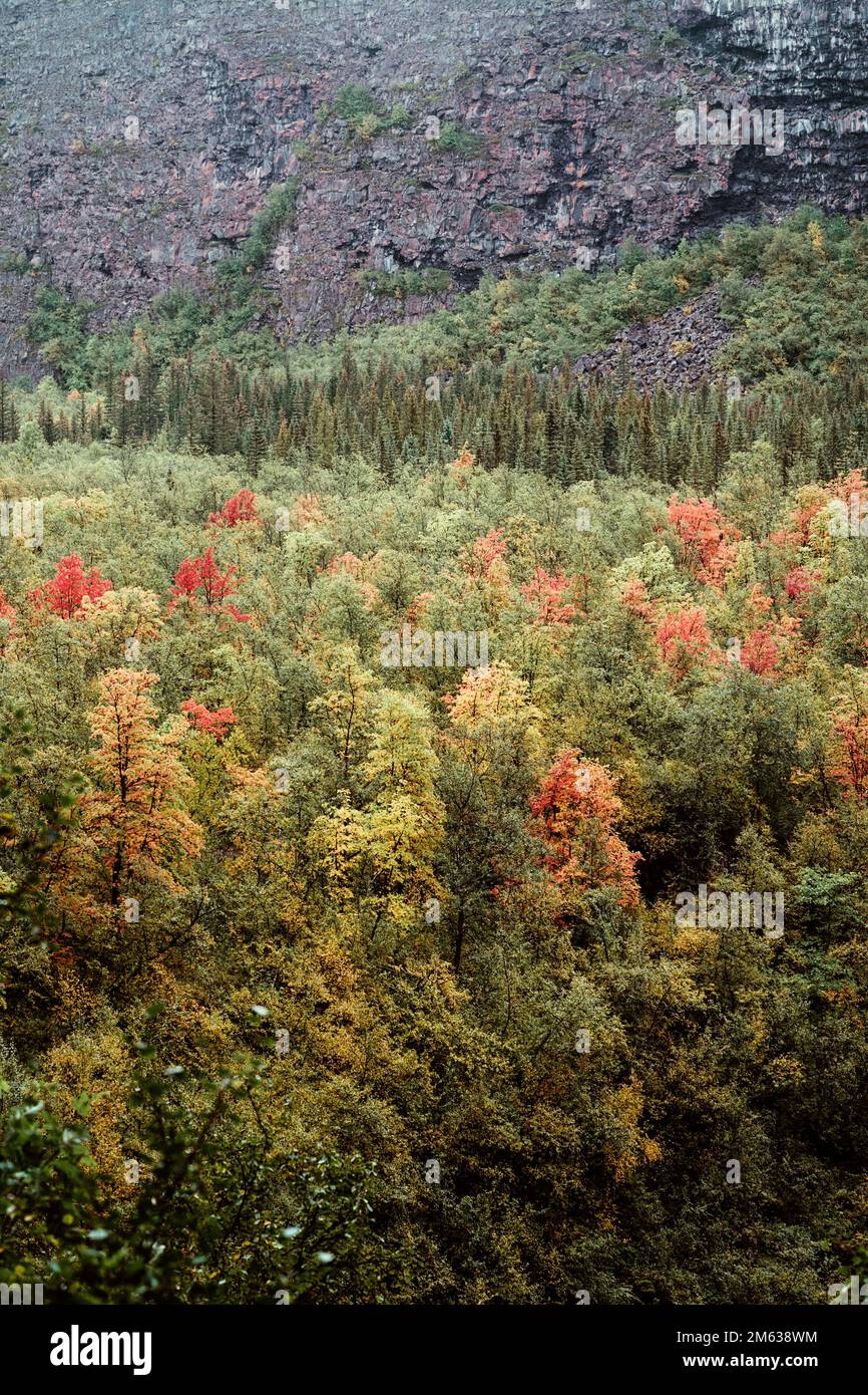 Aerial view green forest red hi-res stock photography and images - Alamy