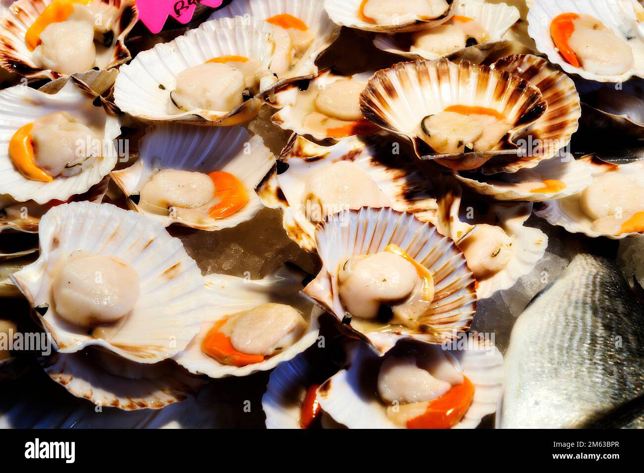 Raw scallops on the market Stock Photo Alamy