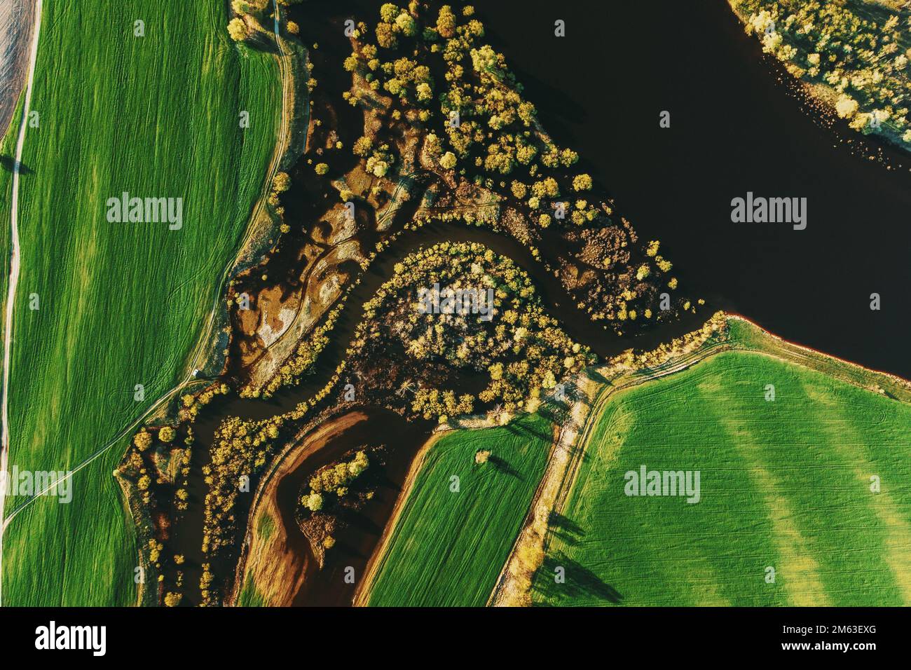 Birds eye view trees hi-res stock photography and images - Alamy