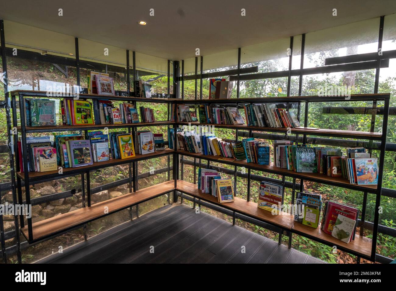 The gym at The Culvert Hotel Resort, Kuching, Sarawak, East Malaysia