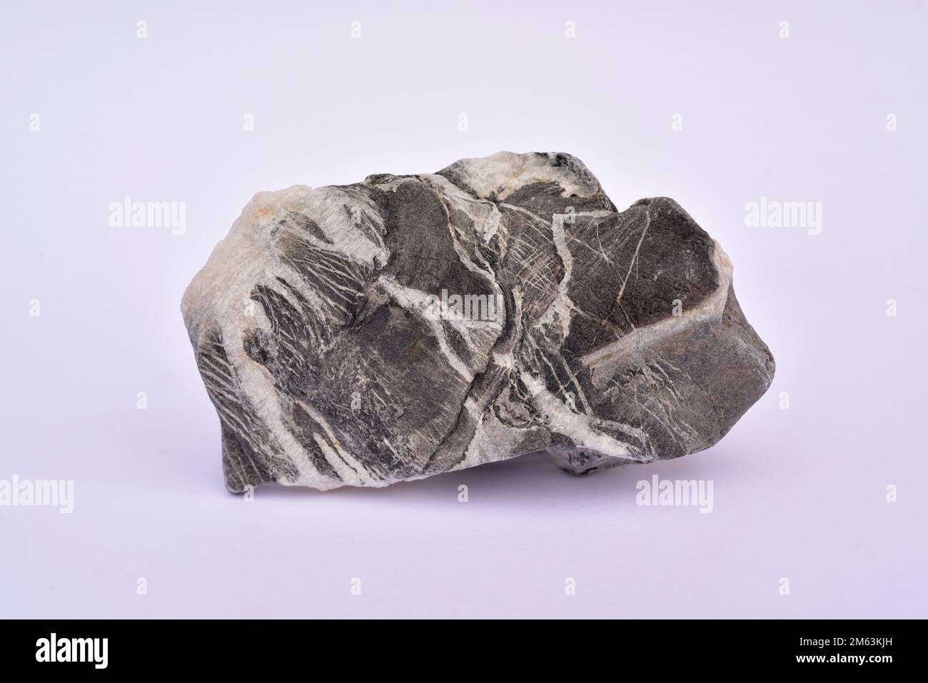 Limestone (carbonate sedimentary rock) with calcite veins. Sample Stock Photo Alamy