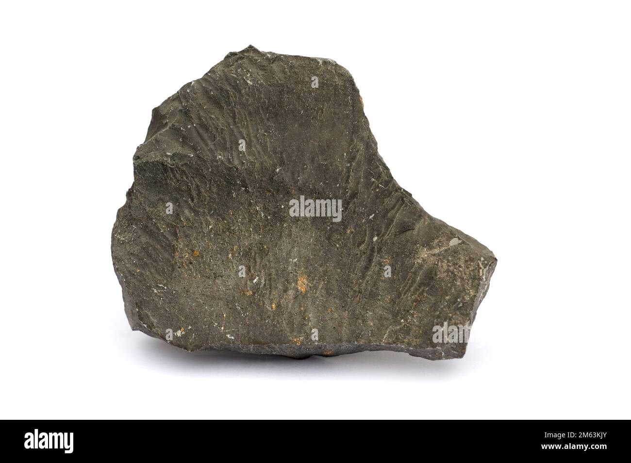 Bituminous limestone is a carbonate sedimentary rock rich in organic matter. Sample. Stock Photo