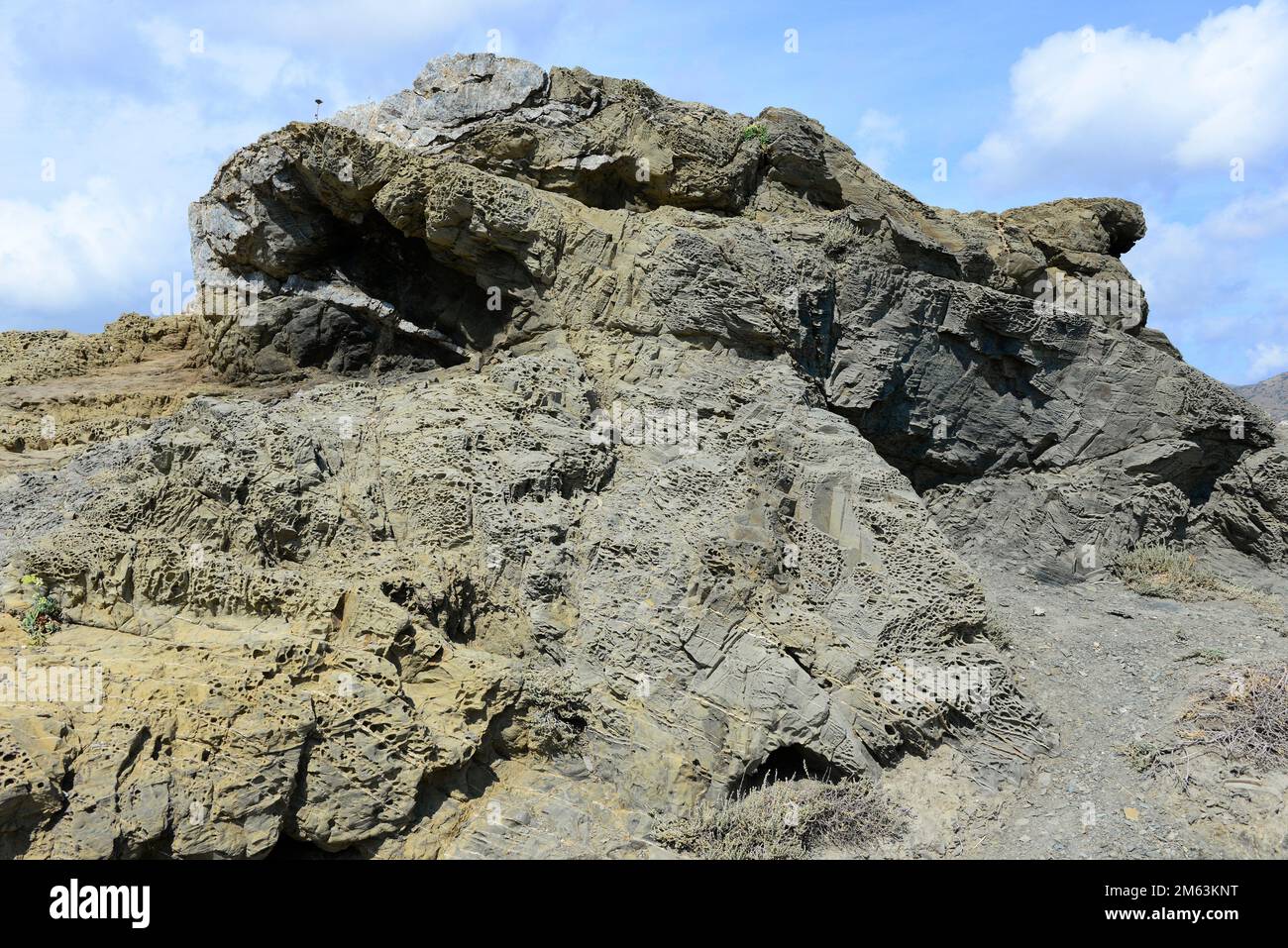 Schist With Honeycomb Schist Is A Metamorphic Rock Composed Mainly Of