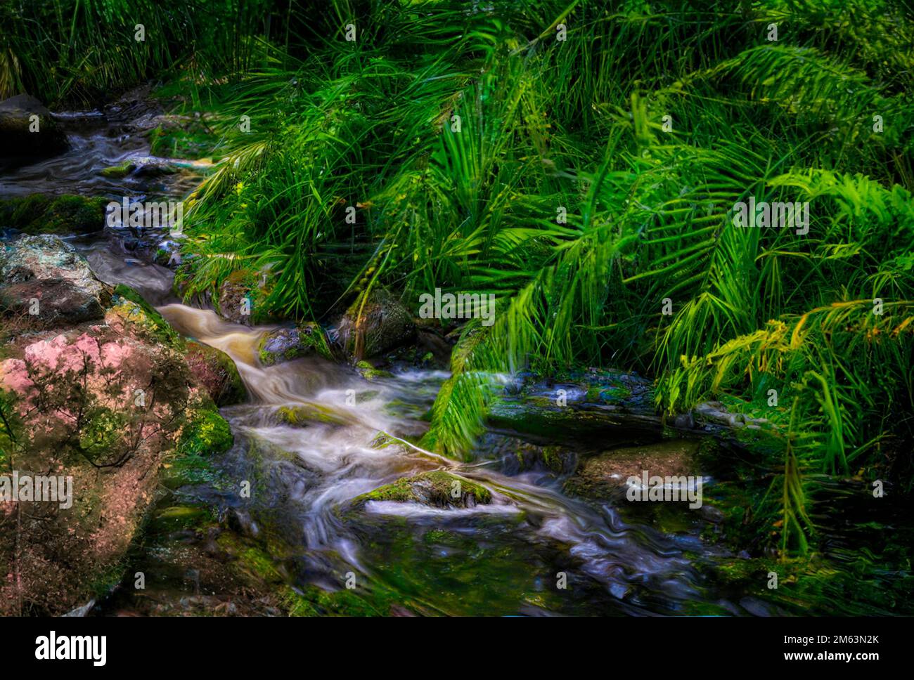 The winter rains cause the streams on the mountainside to burst into