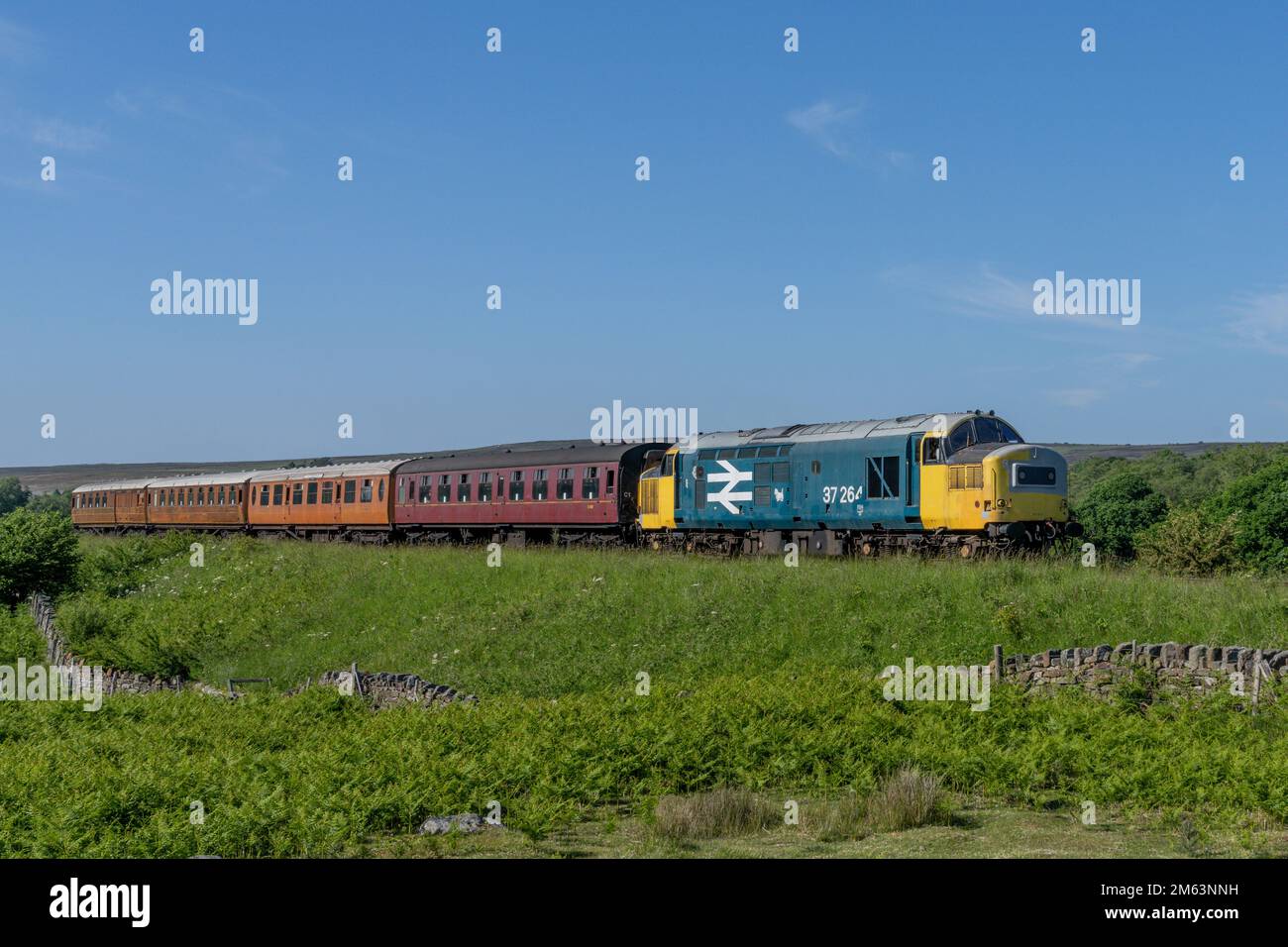 Vintage Diesel train locomotive pulling carriages and passengers on the North Yorkshire Moors Railway between Whitby and Pickering Stock Photo