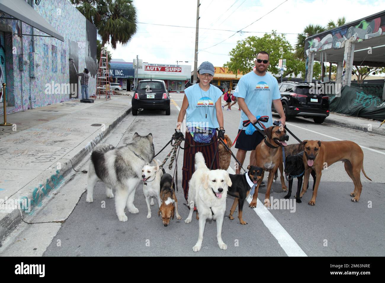 Sitters in hires stock photography and images Alamy