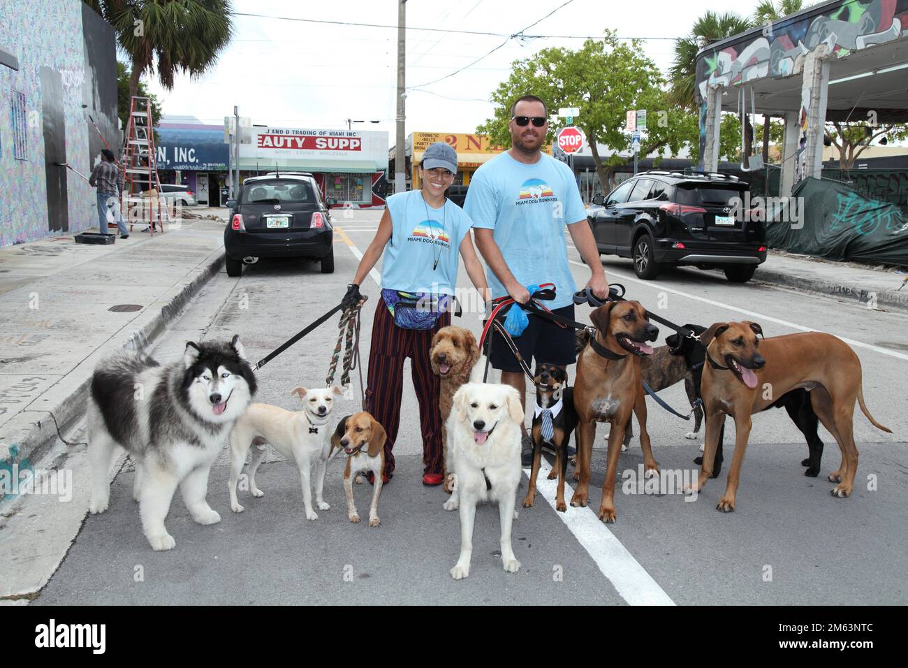 Pet Sitters in Miami Florida Stock Photo Alamy