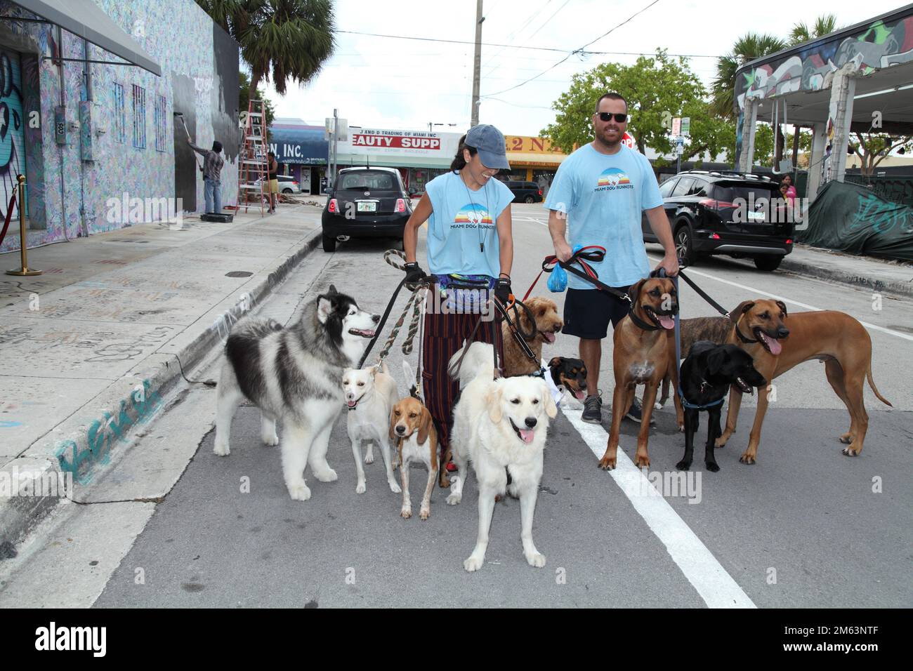 Pet Sitters in Miami Florida Stock Photo Alamy