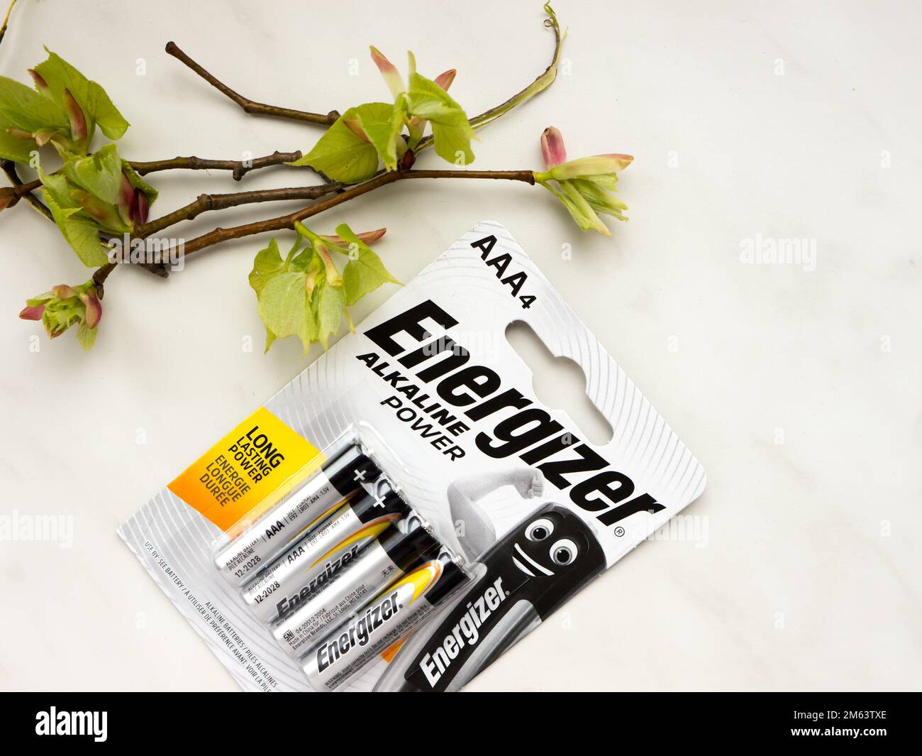Energizer AAA alkaline battery on a white background. Energizer