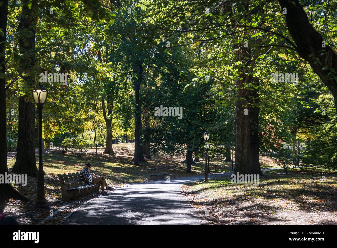 Central Park, an urban park in New York City located between the Upper