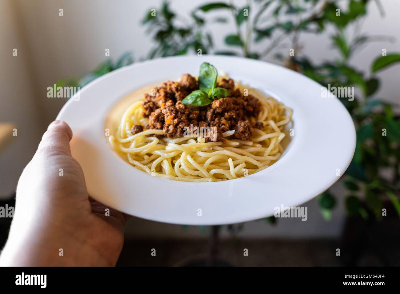 Plate with classic Italian pasta spaghetti bolognese in hand. Stock Photo