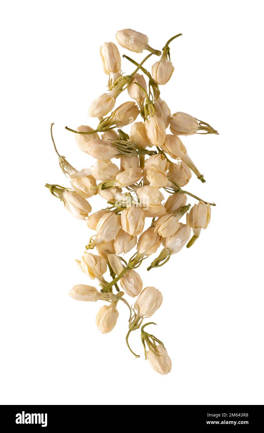 Dry jasmine flowers isolated on white background. Jasmine flowers tea