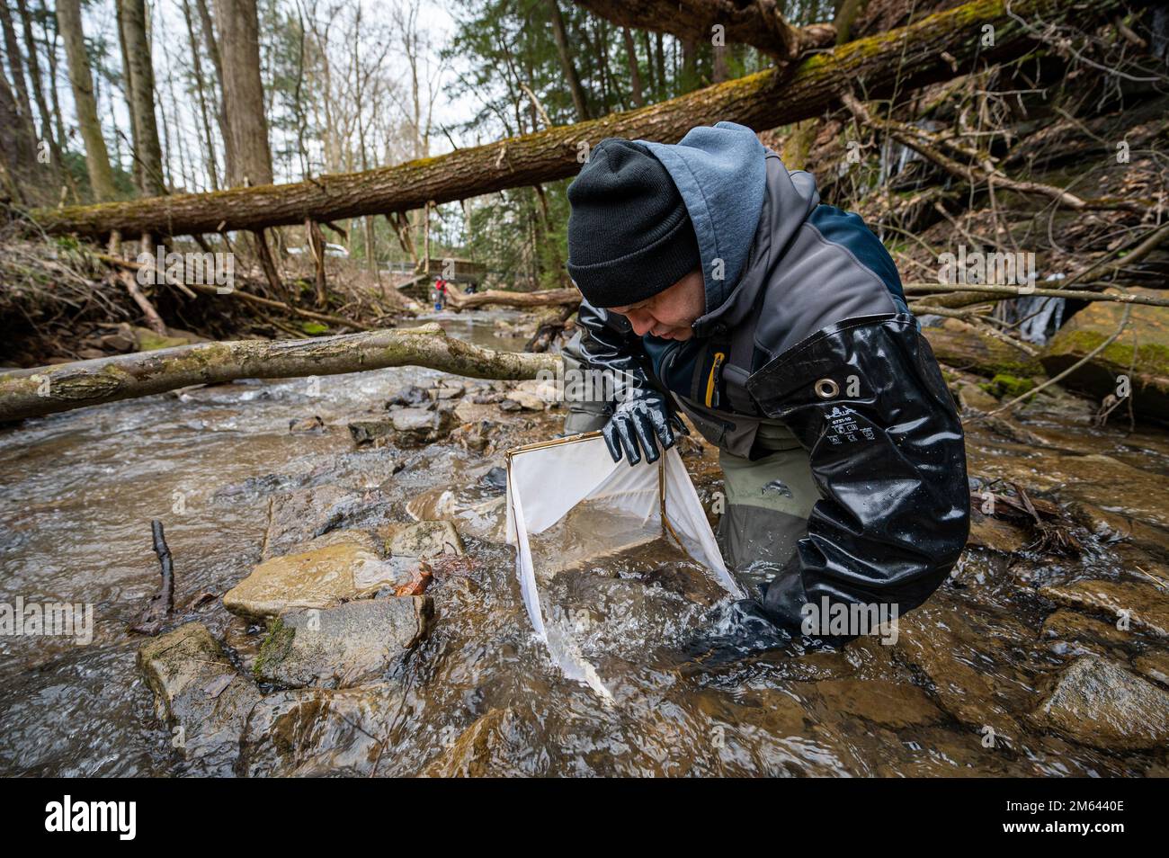 Tony Honick, a biologist with the water quality team for the U.S. Army Corps of Engineers Pittsburgh District, collects water samples and surveys macroinvertebrates in a tributary flowing into Crooked Creek Lake located near Ford City, Pennsylvania, March 30, 2022. The water quality team collects samples around the various reservoirs belonging to the Pittsburgh District every spring to determine the water quality in the region. Stock Photo
