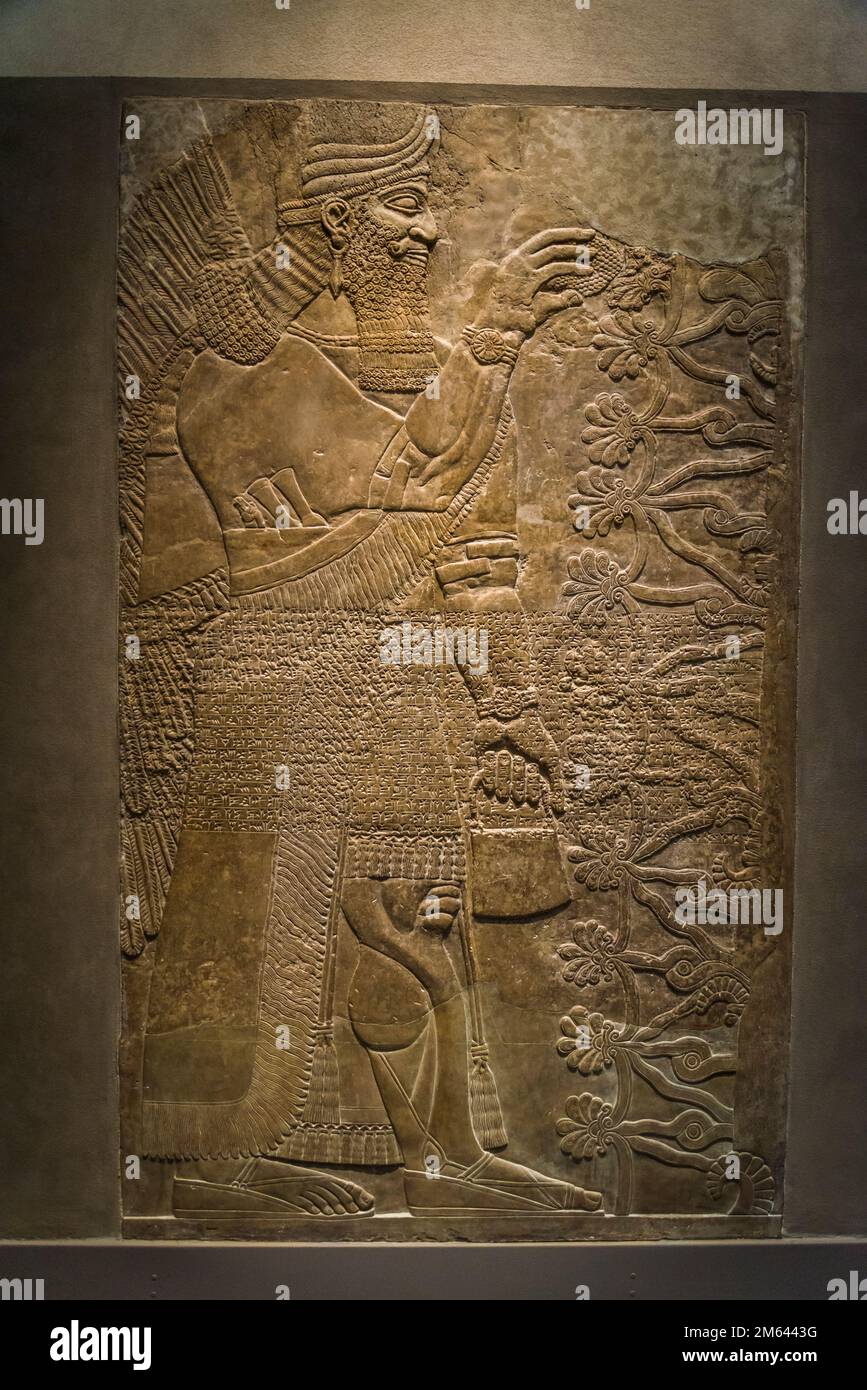 Low relief sculptured panels, Assyrian Palace Sculptures, Metropolitan ...