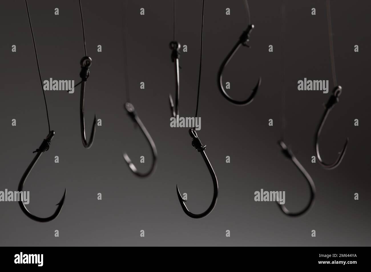 Fishing hooks hanging on a fishing line on a grey background. Concept Stock Photo