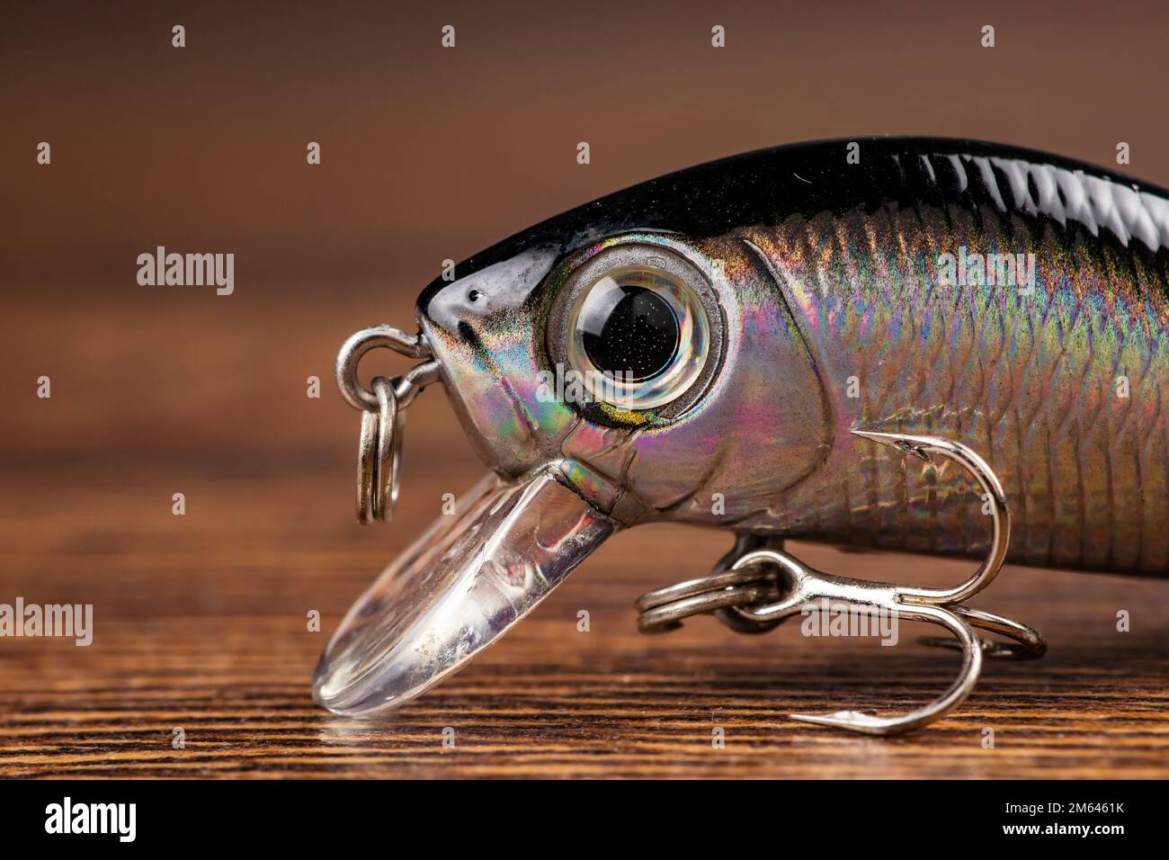 Big hook small fish hi-res stock photography and images - Page 2 - Alamy