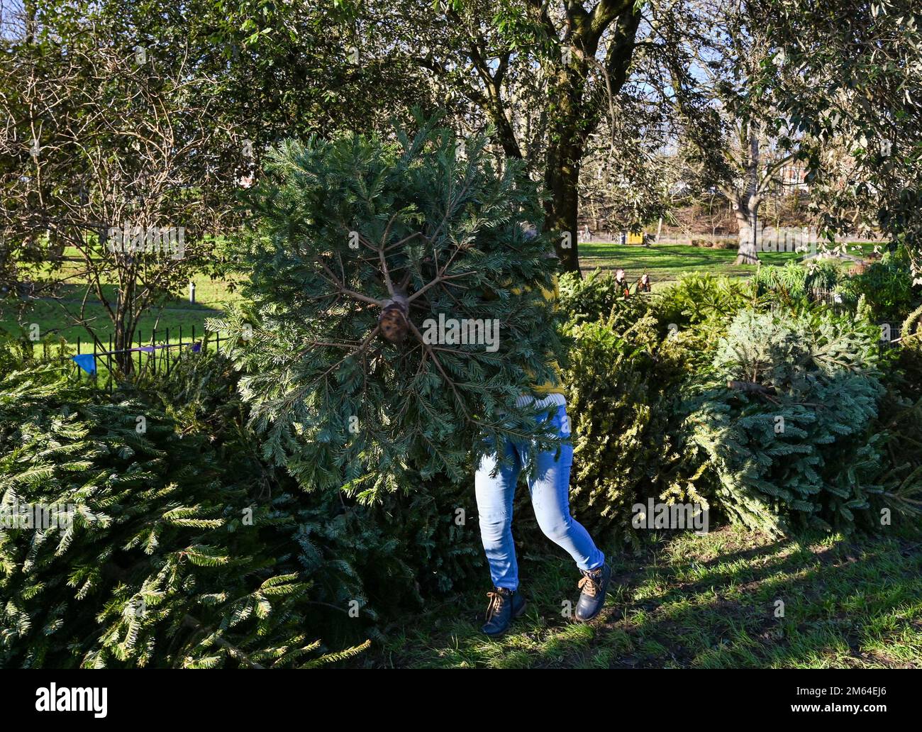 2022 2023 season 2022 2023 hires stock photography and images Alamy