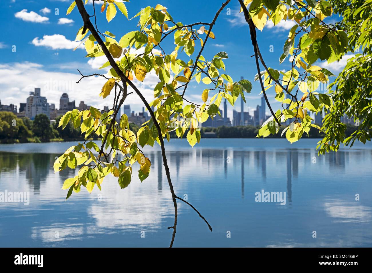 Midtown Manhattan skyline and Jacqueline Kennedy Onassis Reservoir, Central park NYC Stock Photo