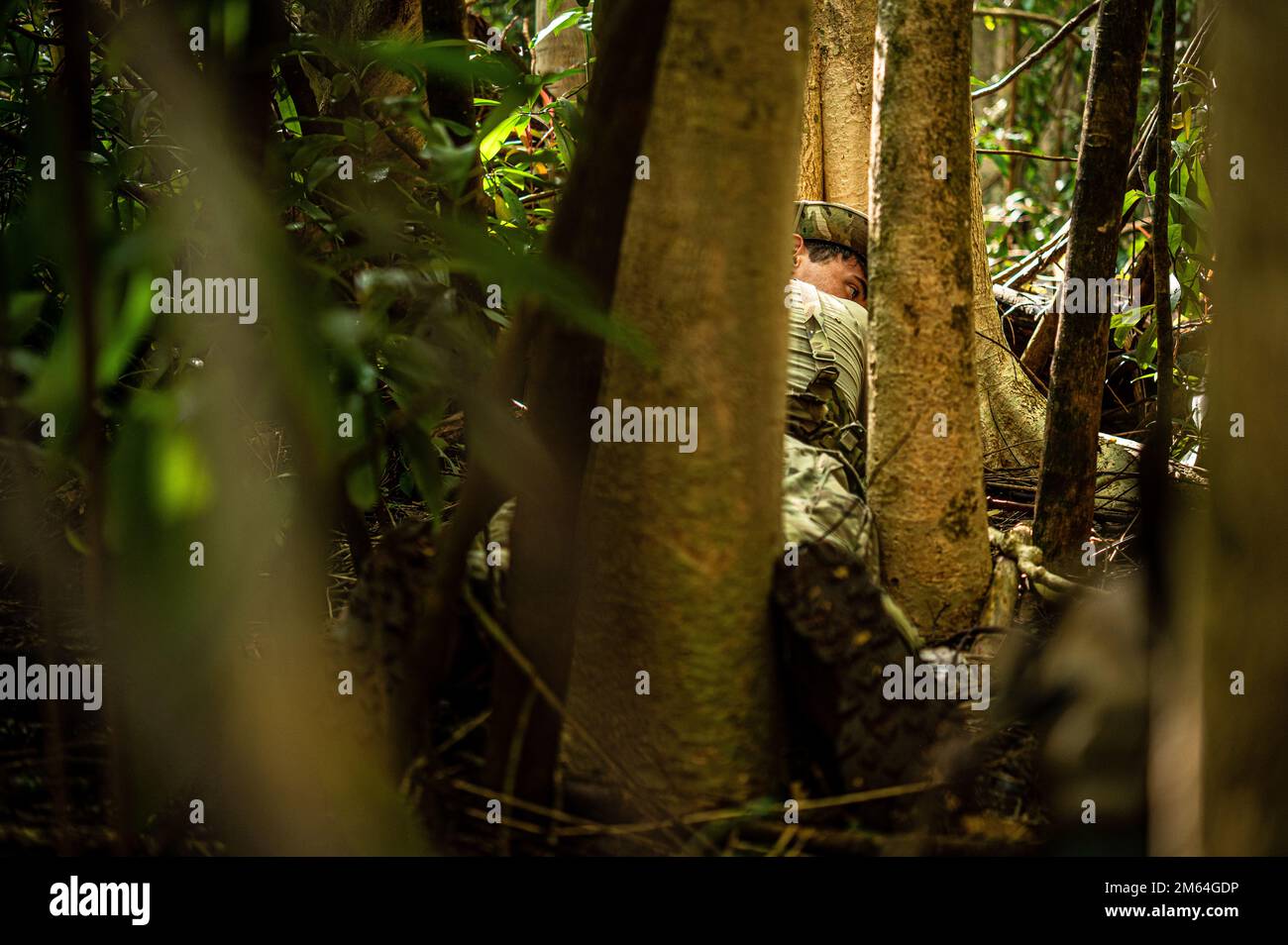 31 rqs hi-res stock photography and images - Alamy