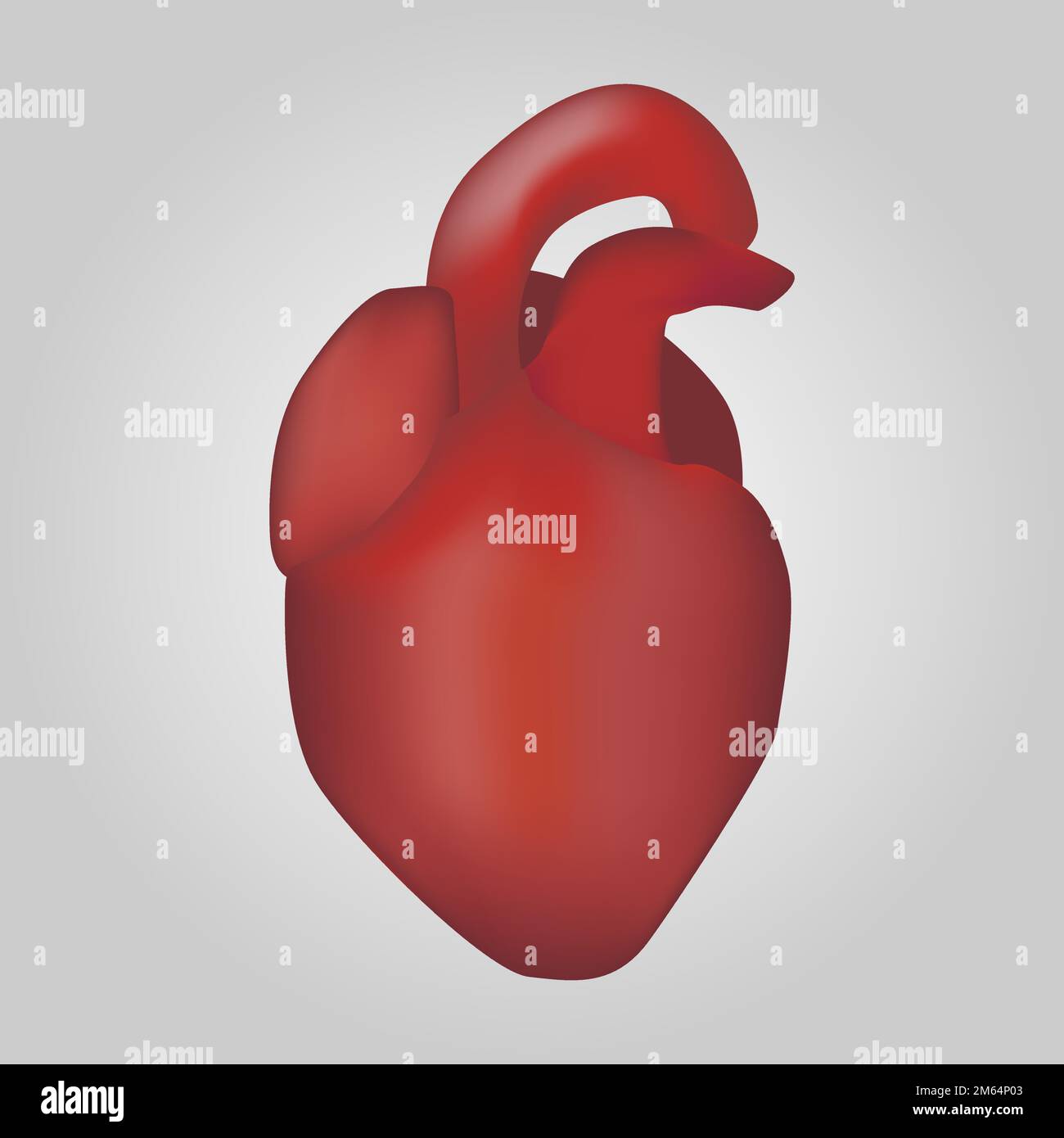Heart of human . Cardiovascular system . Realistic design . Isolated . Vector illustration . Stock Vector