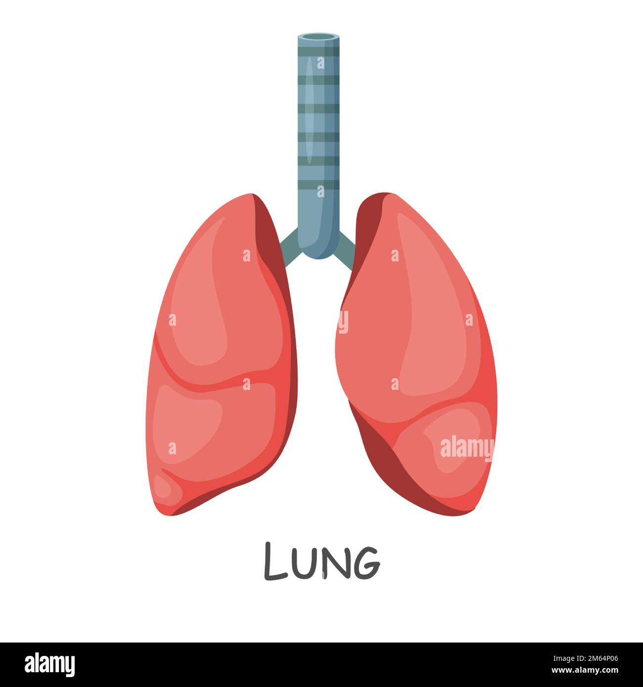 Lung of human . Cartoon design . Isolated . Vector Stock Vector Image ...