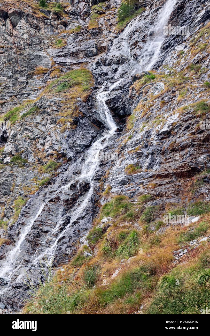 Yellow-green sparse vegetation of grasses and moss on alpine granite gray rocks next to bed of a mountain waterfall. Cogne, Aosta Valley, Italy Stock Photo