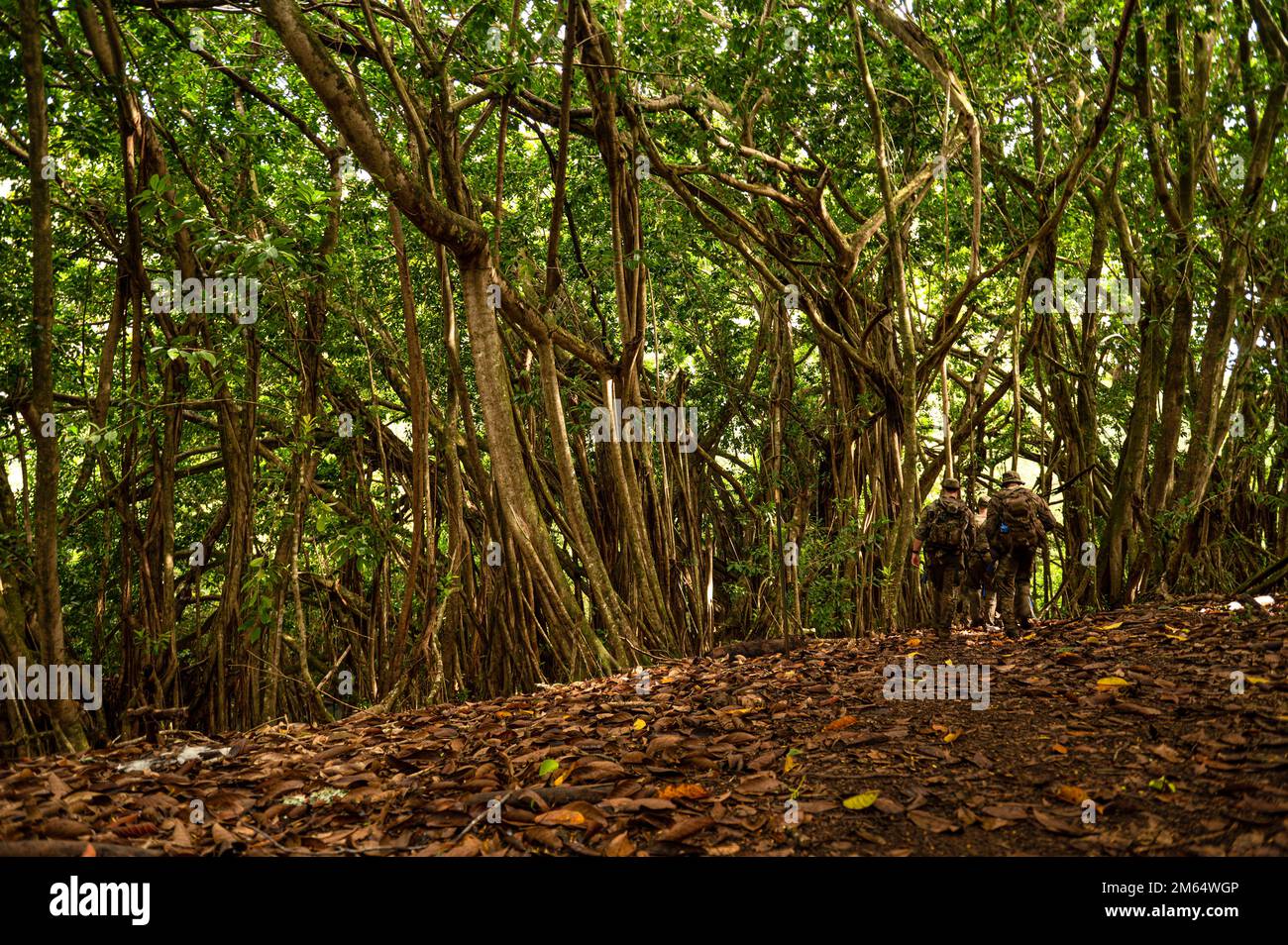 U.S. Air Force pararescuemen assigned to the 38th Rescue Squadron Blue