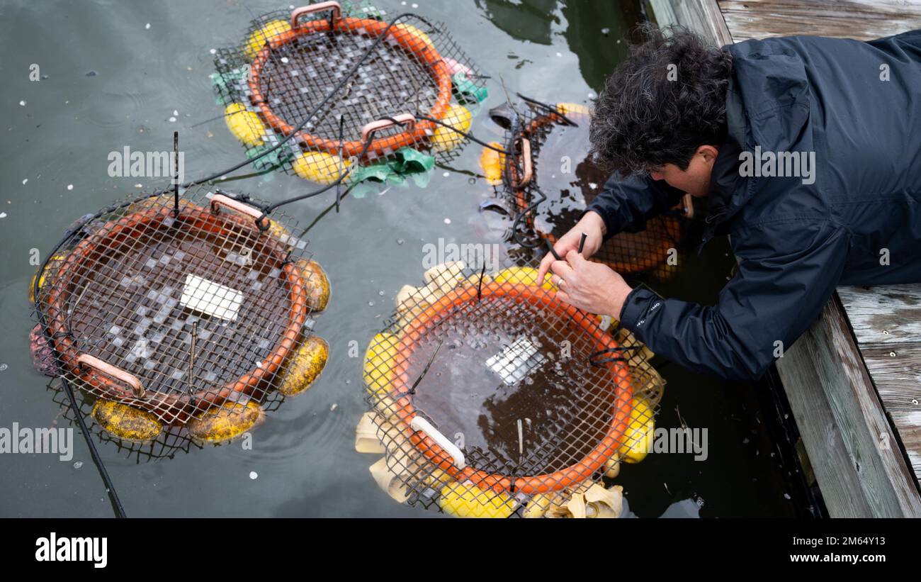 Bogantes Montero, Anacostia Watershed Society stewardship program