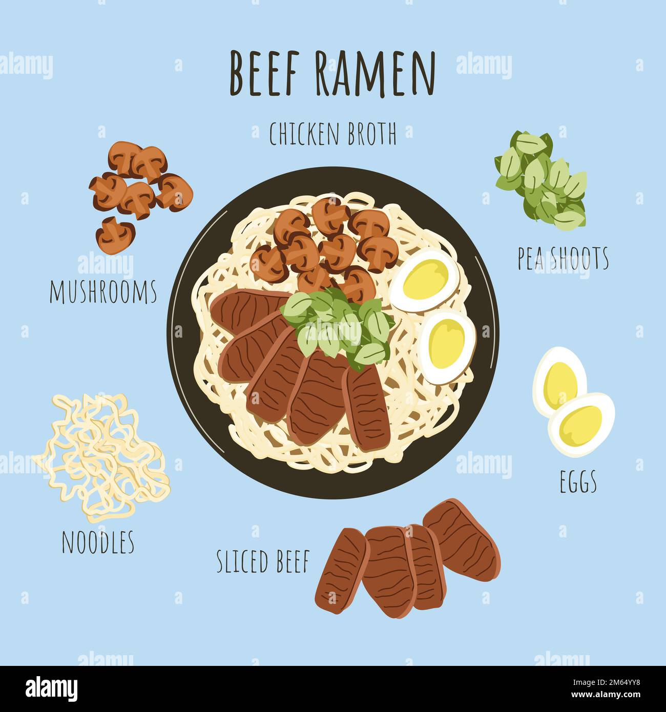 Oriental food. Asian beef ramen soup ingredients. Chicken broth with