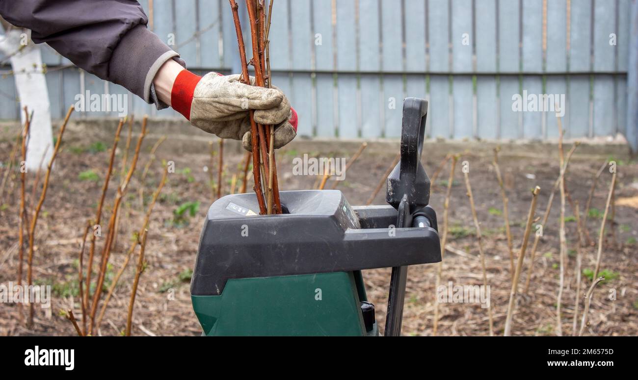 Work in the garden. Man cutting and crushing branches of trees and ...