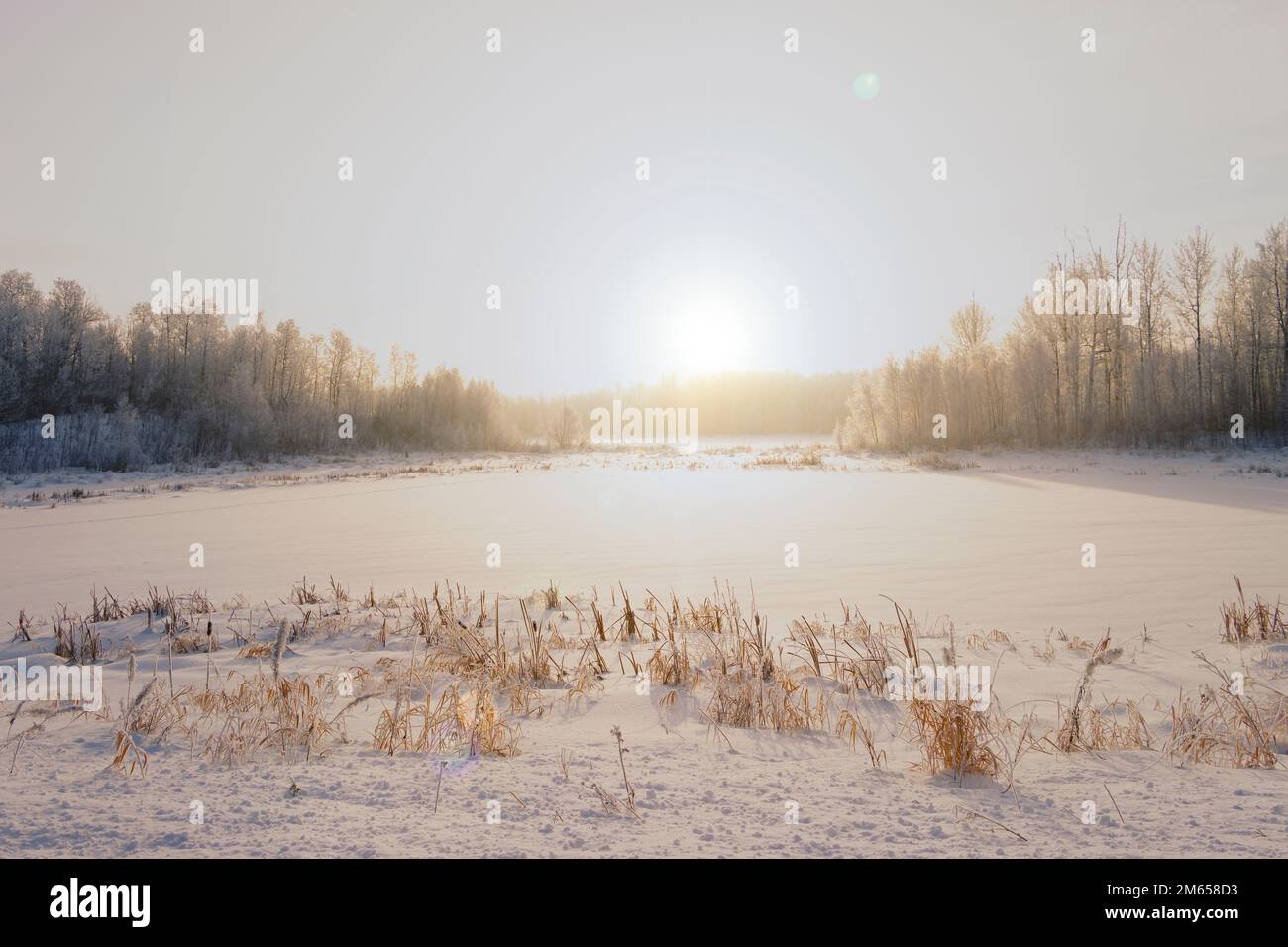 Frost covered landscape hi-res stock photography and images - Alamy