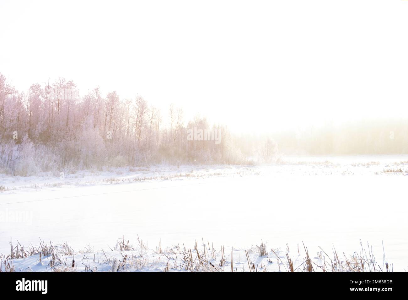 Frost covered landscape hi-res stock photography and images - Alamy