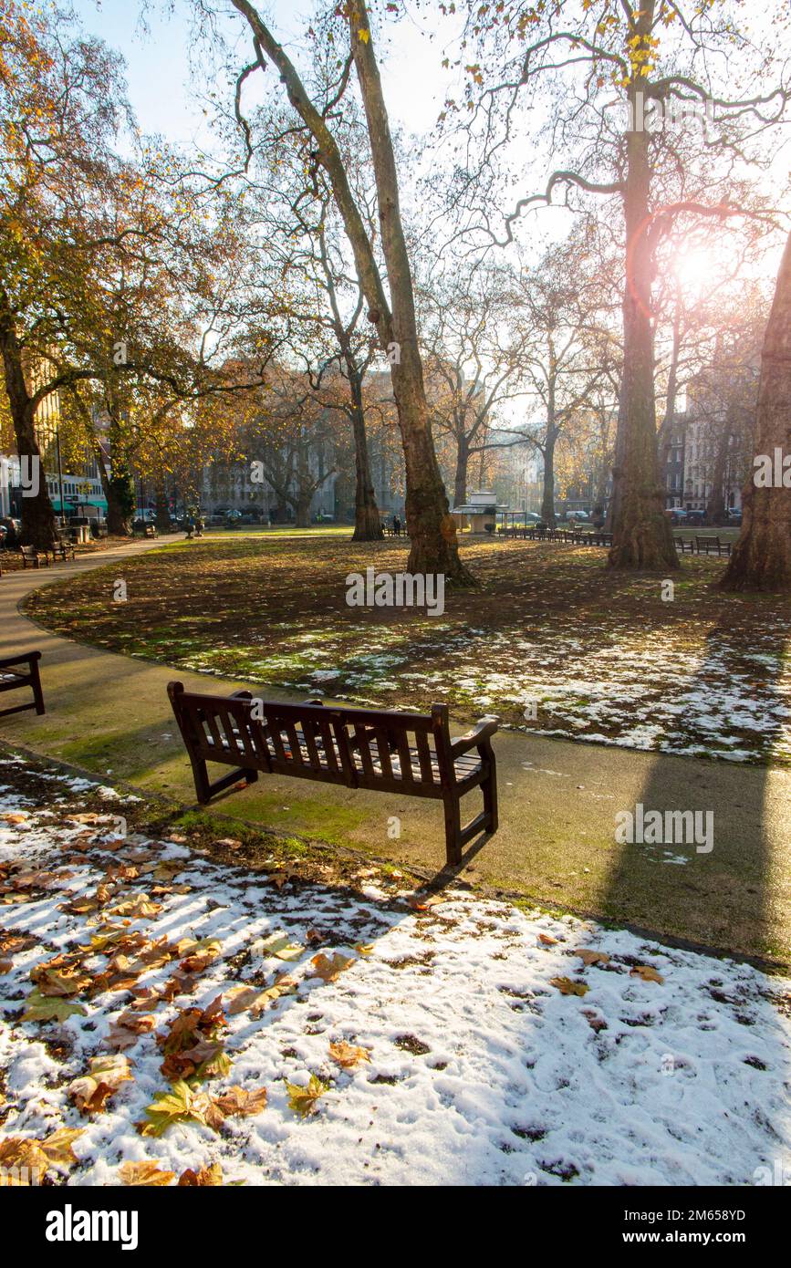 Benches in the snow in Berkeley Square, London Stock Photo