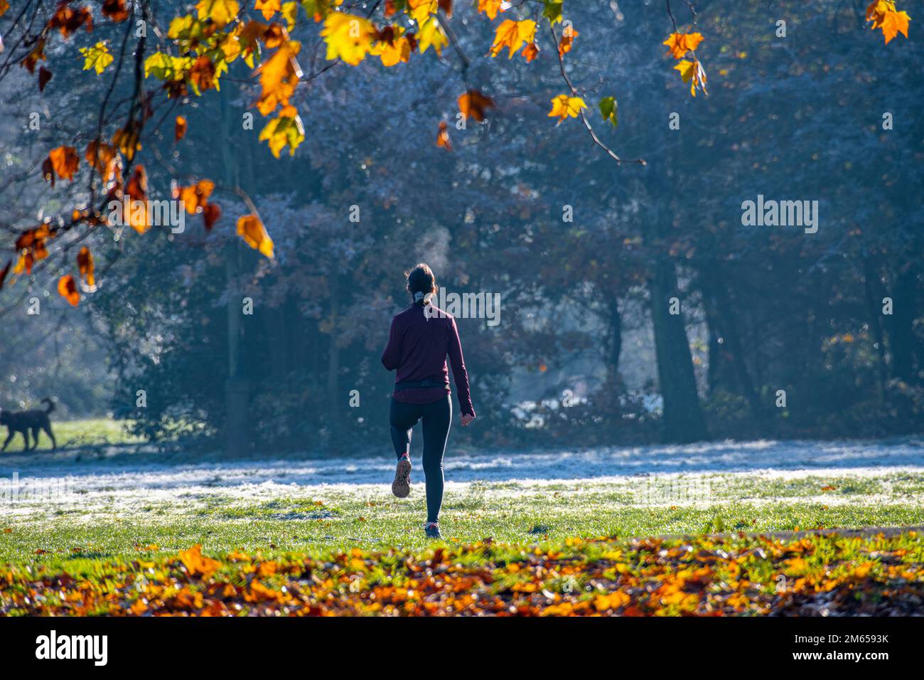 A woman keeps fit in on a sunny day in the middle of winter Stock Photo