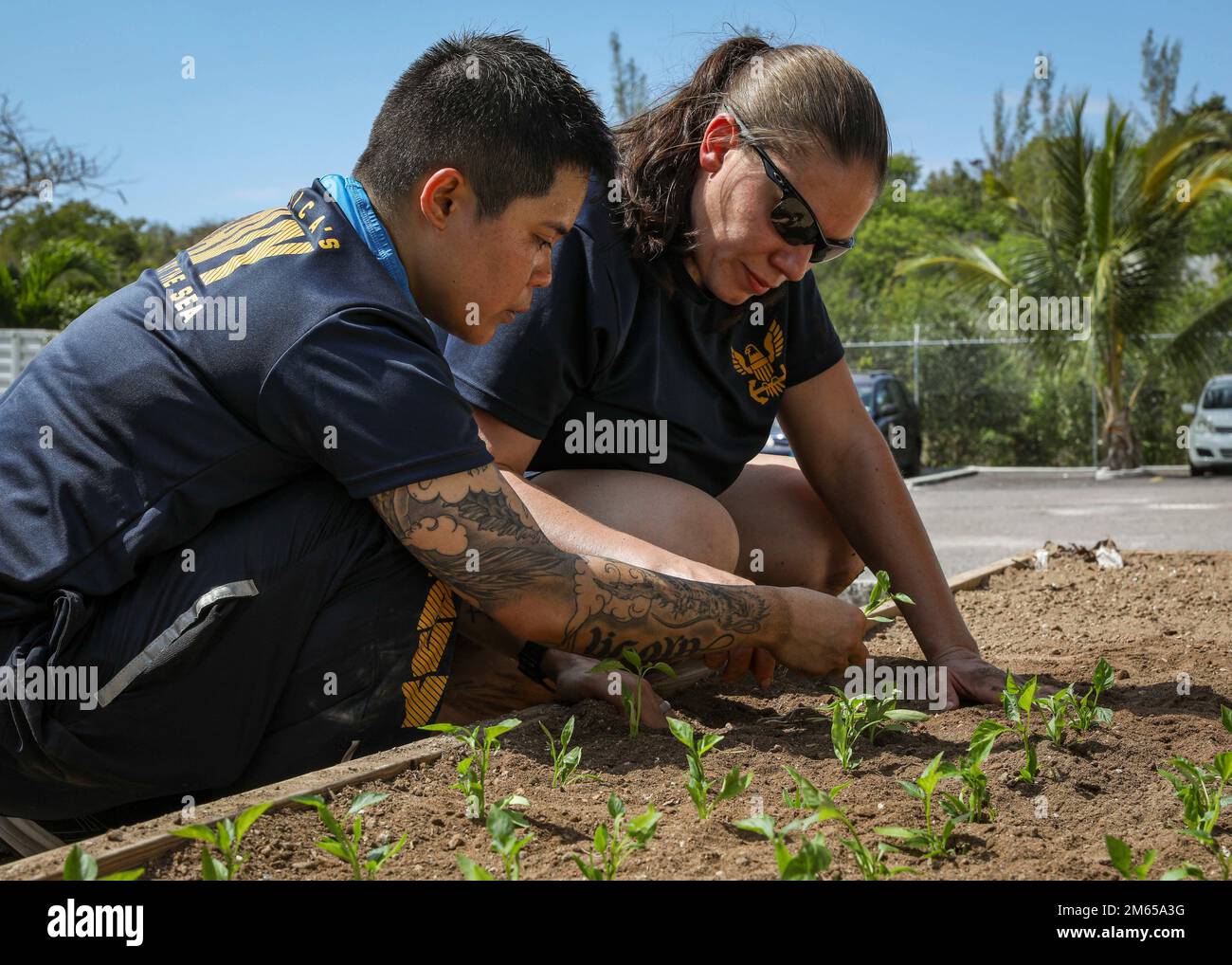 NASSAU, The Bahamas (April 3, 2022) – Chief Gas Turbine System Technician (Electrician) Jandavy Eseque, left, and Intelligence Specialist 1st Class Heather Wessel, assigned to the Arleigh Burke-class guided-missile destroyer USS Porter (DDG 78) volunteer at The Bahamas Red Cross center to help plant vegetables for the Community Resilience and Food Security Pilot Program, April 3. Porter, forward-deployed to Rota, Spain, is currently in the U.S. 2nd Fleet area of operations to conduct routine certifications and training. Stock Photo