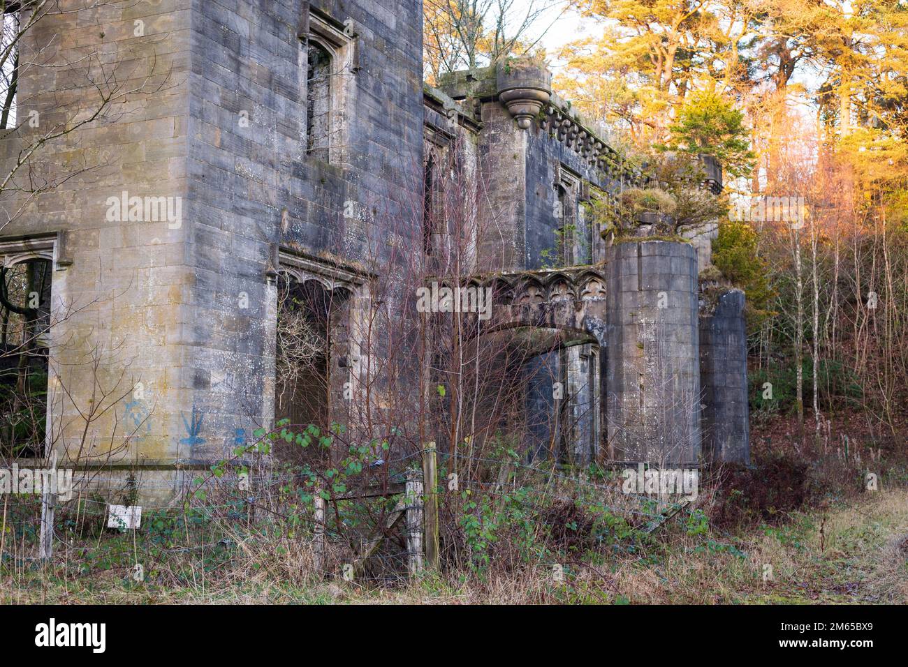 Ruins of a Scottish Castle hidden in the forest Stock Photo
