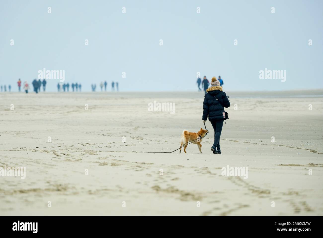 FRA, Frankreich, Le Touquet-Paris-Plage, 11.12.2022: eine Frau mit Hund und Spaziergaenger in der Ferne am Horizont am Strand von Le Touquet-Paris-Pla Stock Photo