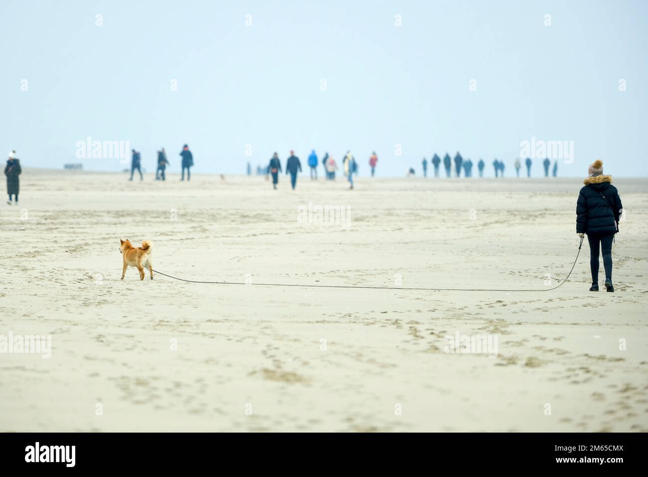FRA, Frankreich, Le Touquet-Paris-Plage, 11.12.2022: eine Frau mit Hund und Spaziergaenger in der Ferne am Horizont am Strand von Le Touquet-Paris-Pla Stock Photo