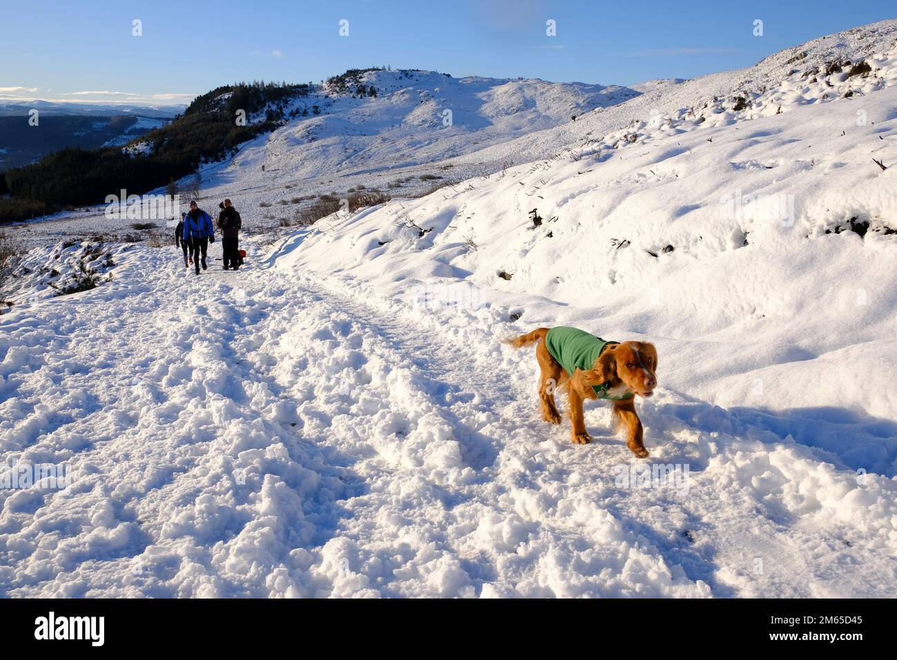 Pitlochry, Scotland, UK. 2nd January 2023. Winter snow, Hikers on the path up a snow covered Ben Vrackie, a prominent corbett at Pitlochry. Credit: Craig Brown/Alamy Live News Stock Photo
